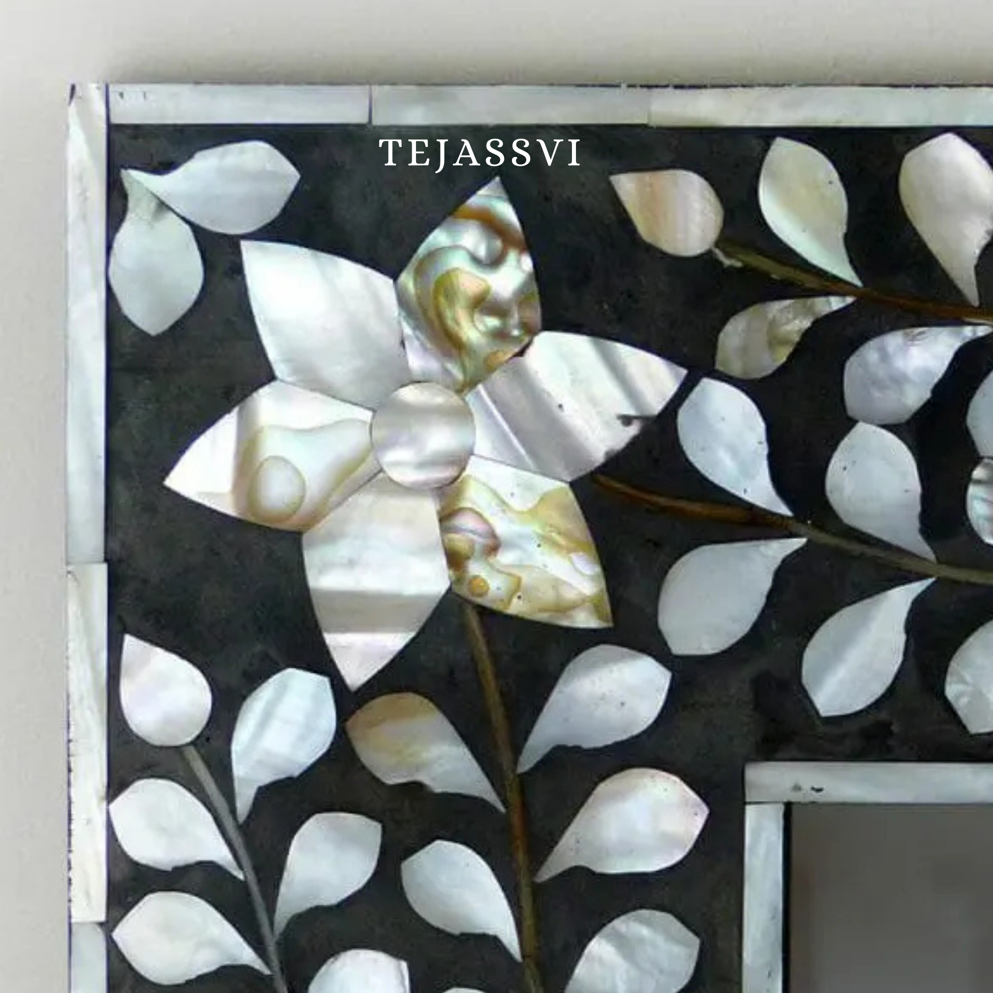 MOP Inlay Large Mirror Black Resin Wall Hanging Décor Mirror for Home